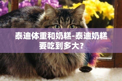 泰迪體重和奶糕-泰迪奶糕要吃到多大？