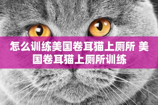 怎么訓練美國卷耳貓上廁所 美國卷耳貓上廁所訓練