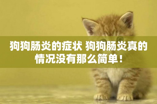 狗狗腸炎的癥狀 狗狗腸炎真的情況沒有那么簡單！