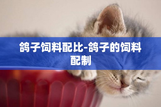 鴿子飼料配比-鴿子的飼料配制