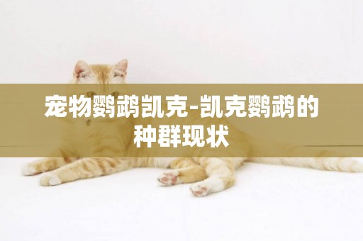 寵物鸚鵡凱克-凱克鸚鵡的種群現狀