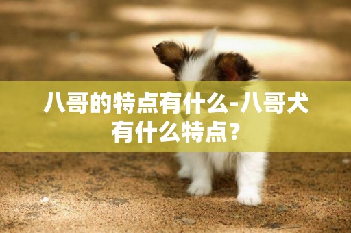 八哥的特點有什么-八哥犬有什么特點？