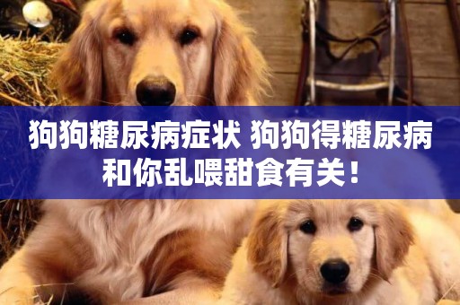 狗狗糖尿病癥狀 狗狗得糖尿病和你亂喂甜食有關！