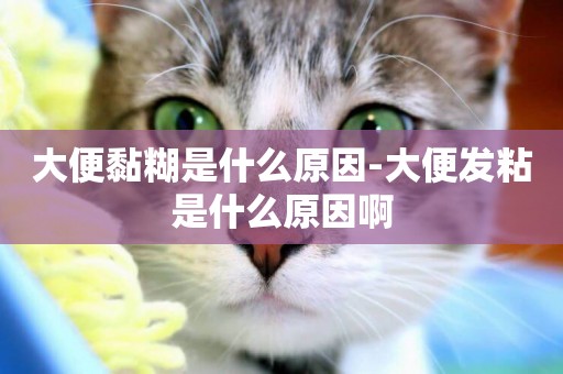 大便黏糊是什么原因-大便發粘是什么原因啊