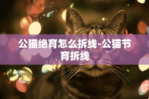 公貓絕育怎么拆線-公貓節育拆線