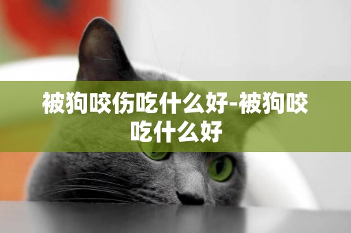 被狗咬傷吃什么好-被狗咬吃什么好