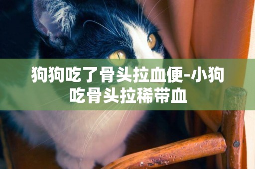 狗狗吃了骨頭拉血便-小狗吃骨頭拉稀帶血