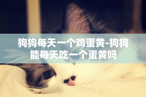 狗狗每天一個雞蛋黃-狗狗能每天吃一個蛋黃嗎