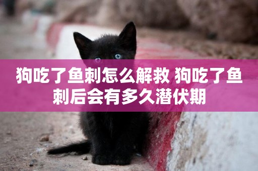 狗吃了魚刺怎么解救 狗吃了魚刺后會有多久潛伏期