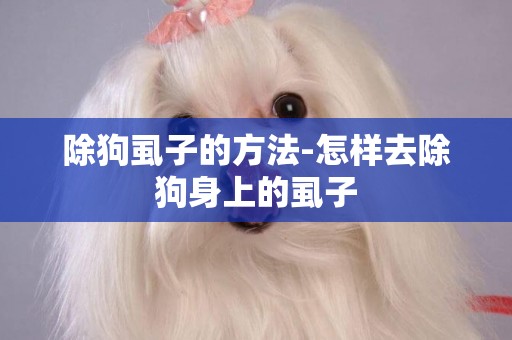 除狗虱子的方法-怎樣去除狗身上的虱子