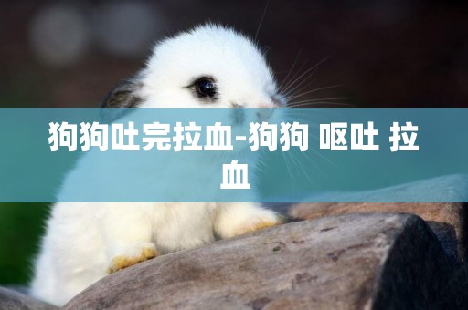 狗狗吐完拉血-狗狗 嘔吐 拉血