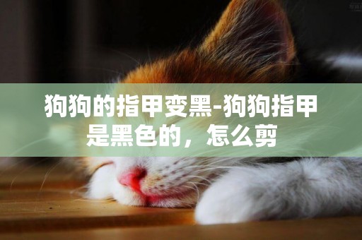 狗狗的指甲變黑-狗狗指甲是黑色的，怎么剪