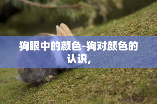 狗眼中的顏色-狗對顏色的認識,