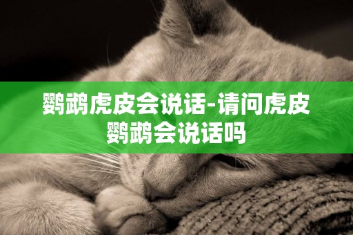 鸚鵡虎皮會說話-請問虎皮鸚鵡會說話嗎
