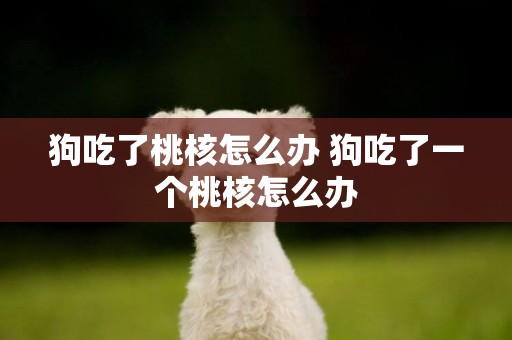 狗吃了桃核怎么辦 狗吃了一個桃核怎么辦