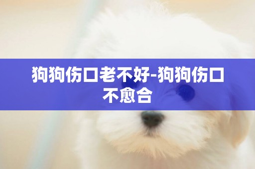 狗狗傷口老不好-狗狗傷口不愈合