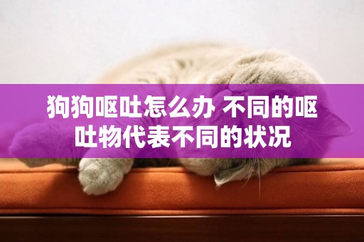 狗狗嘔吐怎么辦 不同的嘔吐物代表不同的狀況
