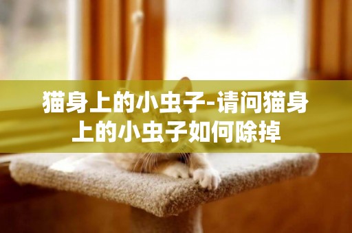 貓身上的小蟲子-請問貓身上的小蟲子如何除掉