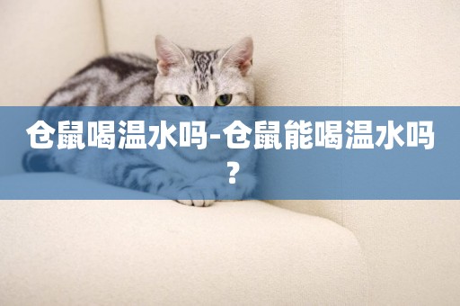 倉鼠喝溫水嗎-倉鼠能喝溫水嗎？