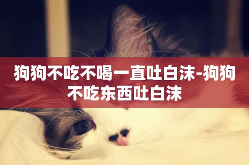 狗狗不吃不喝一直吐白沫-狗狗不吃東西吐白沫