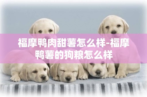 福摩鴨肉甜薯怎么樣-福摩鴨薯的狗糧怎么樣