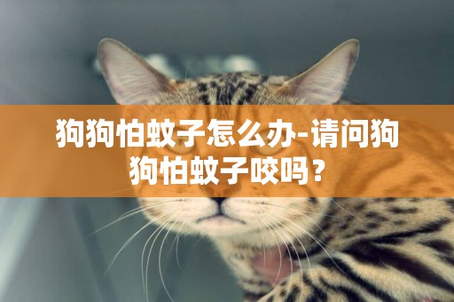 狗狗怕蚊子怎么辦-請問狗狗怕蚊子咬嗎？