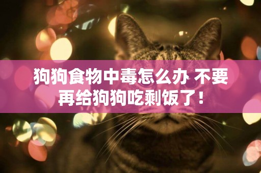 狗狗食物中毒怎么辦 不要再給狗狗吃剩飯了！