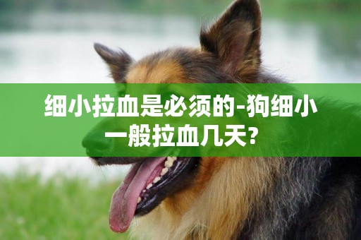 細小拉血是必須的-狗細小一般拉血幾天?