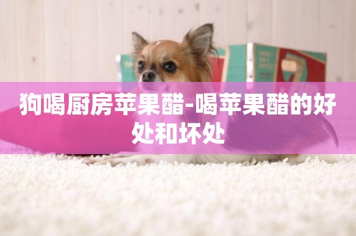 狗喝廚房蘋果醋-喝蘋果醋的好處和壞處
