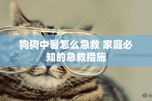 狗狗中暑怎么急救 家庭必知的急救措施
