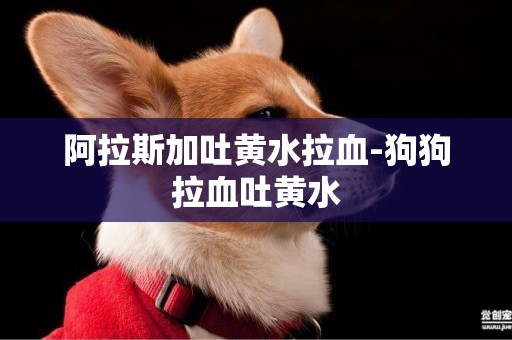 阿拉斯加吐黃水拉血-狗狗拉血吐黃水