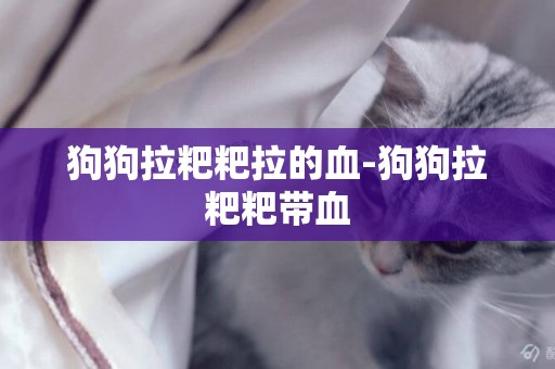 狗狗拉粑粑拉的血-狗狗拉粑粑帶血