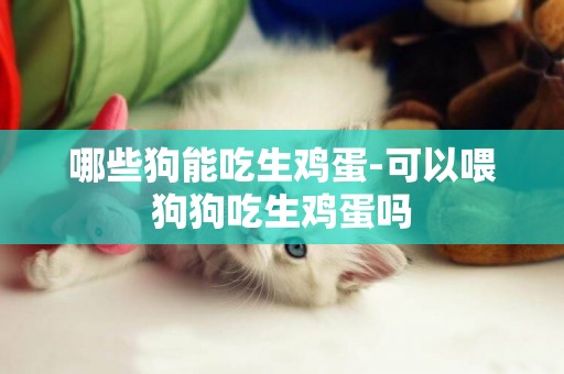 哪些狗能吃生雞蛋-可以喂狗狗吃生雞蛋嗎