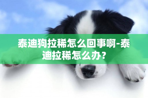 泰迪狗拉稀怎么回事啊-泰迪拉稀怎么辦？