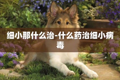 細小那什么治-什么藥治細小病毒