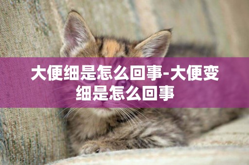 大便細是怎么回事-大便變細是怎么回事