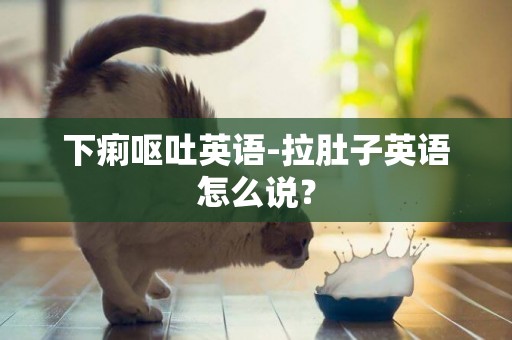 下痢嘔吐英語-拉肚子英語怎么說？