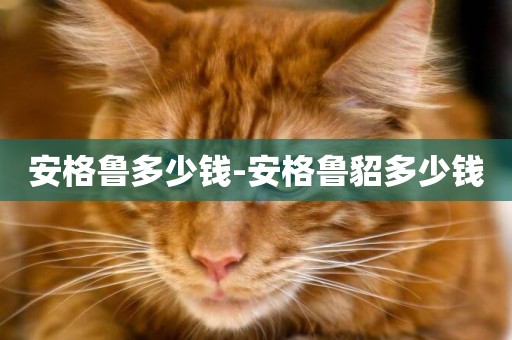 安格魯多少錢-安格魯貂多少錢