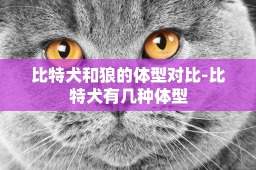 比特犬和狼的體型對比-比特犬有幾種體型