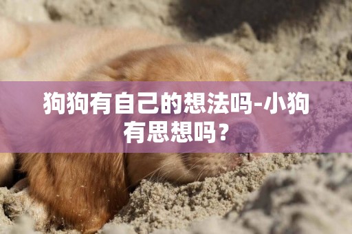 狗狗有自己的想法嗎-小狗有思想嗎？