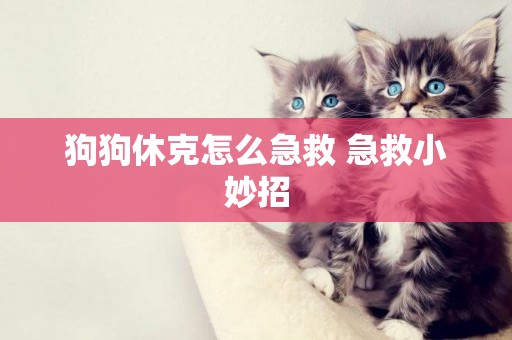 狗狗休克怎么急救 急救小妙招