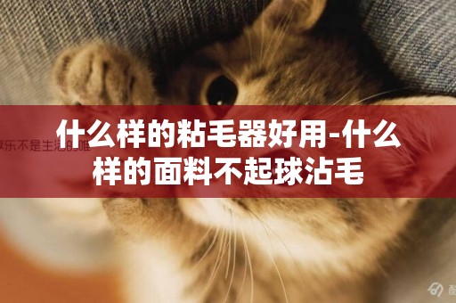 什么樣的粘毛器好用-什么樣的面料不起球沾毛