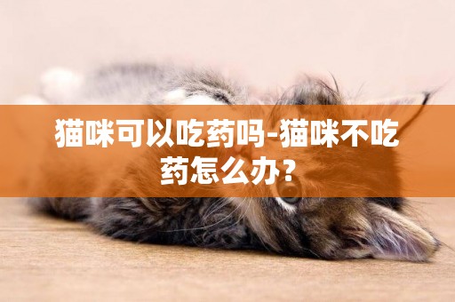 貓咪可以吃藥嗎-貓咪不吃藥怎么辦？