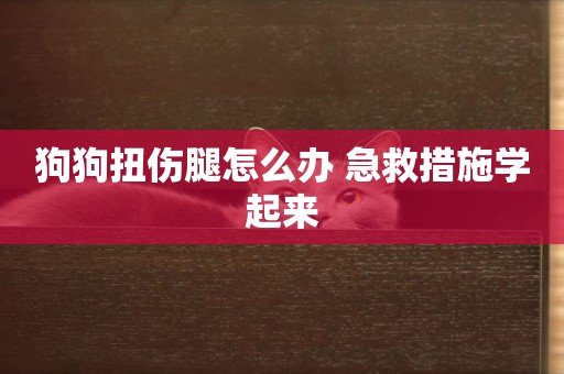 狗狗扭傷腿怎么辦 急救措施學起來