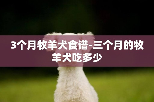 3個月牧羊犬食譜-三個月的牧羊犬吃多少