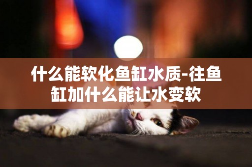 什么能軟化魚缸水質-往魚缸加什么能讓水變軟