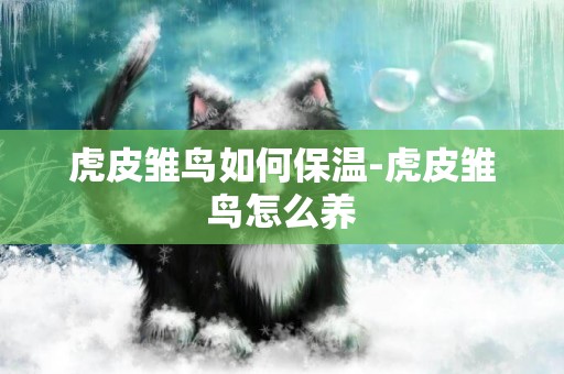 虎皮雛鳥如何保溫-虎皮雛鳥怎么養