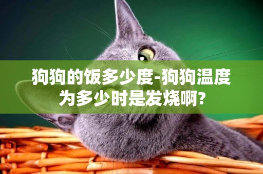 狗狗的飯多少度-狗狗溫度為多少時是發燒啊?