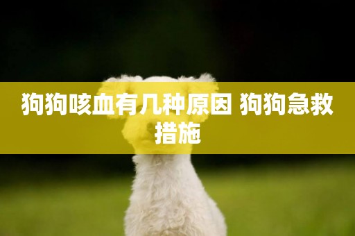 狗狗咳血有幾種原因 狗狗急救措施