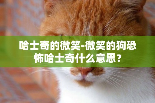 哈士奇的微笑-微笑的狗恐怖哈士奇什么意思？